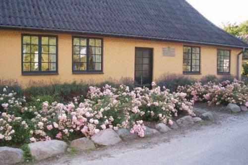 Dyrlev Bed & Breakfast Præstø Exterior foto